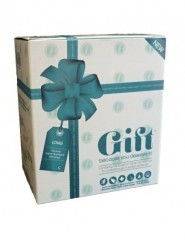 GIFT WELLNESS Ltd. Dámské vložky Noční LONG 1 balení - 10 ks