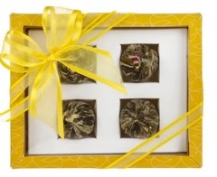 OXALIS Asteria žlutá - set kvetoucích čajů