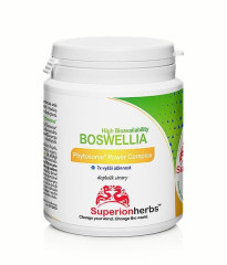 SUPERIONHERBS™ Boswellia Phytosome® – boswellin s vysokou vstřebatelností 90 kapslí