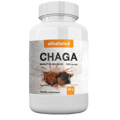 ALLNATURE Chaga 100 cps.